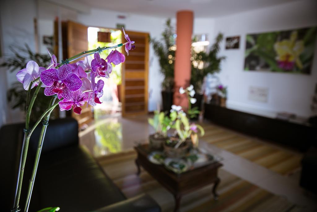 瓜拉派瑞 Orquidea Cafe酒店 外观 照片